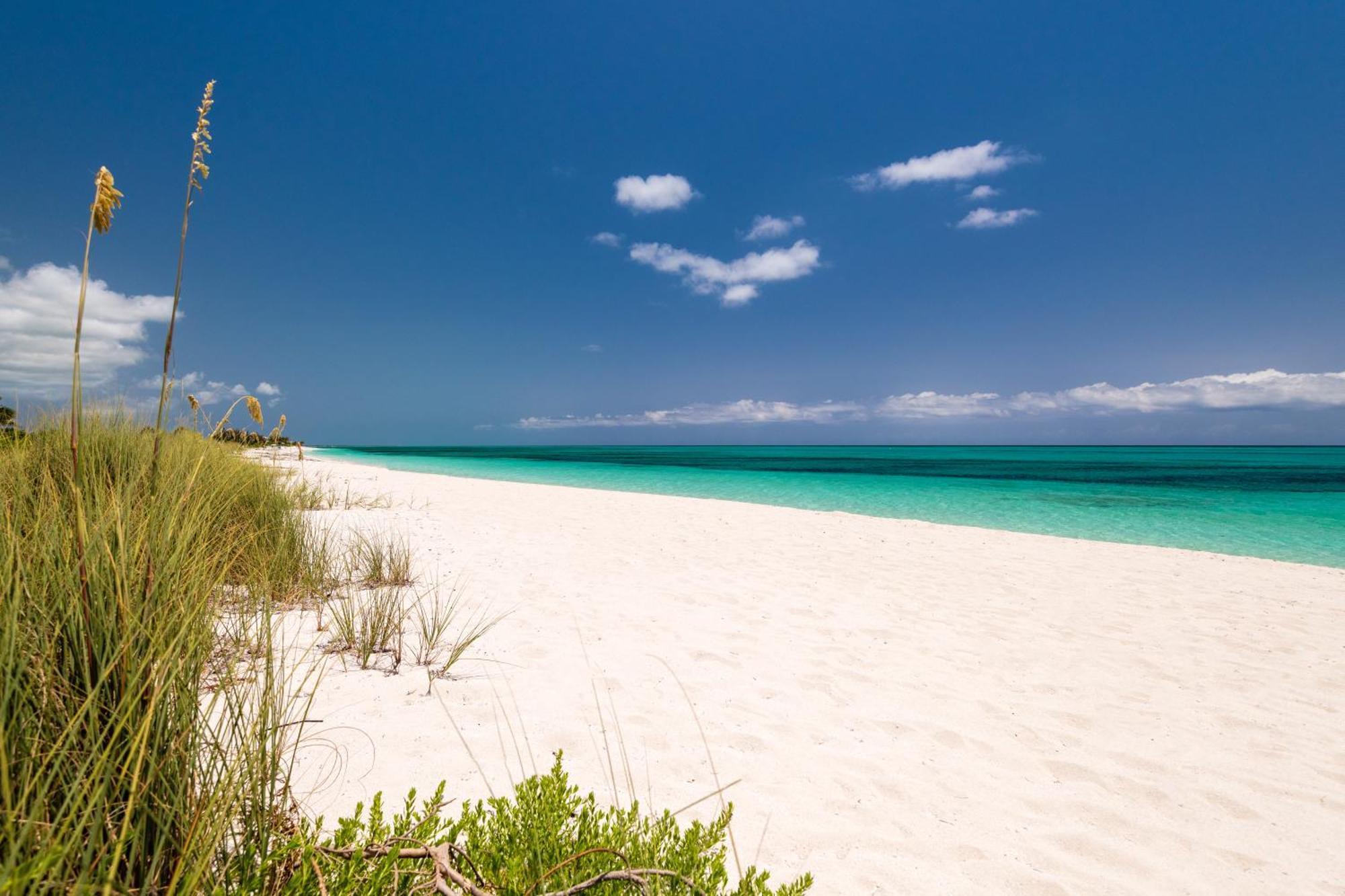 Grace Bay Club Hotell Rum bild